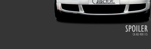 Spoiler fata Audi AUDI TT Coupe